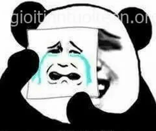 Meme chế gấu trúc rơi lệ bộ lông khoang run rẩy ấm ức