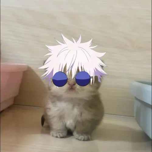 Hình meme mèo Satoru Gojo bật Lục Nhãn xoáy sâu nét kiêu ngạo