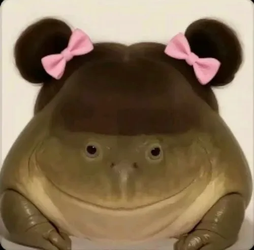 Ảnh vui hà mã ngố bật lên hà mã ngâm bùn trong nắng