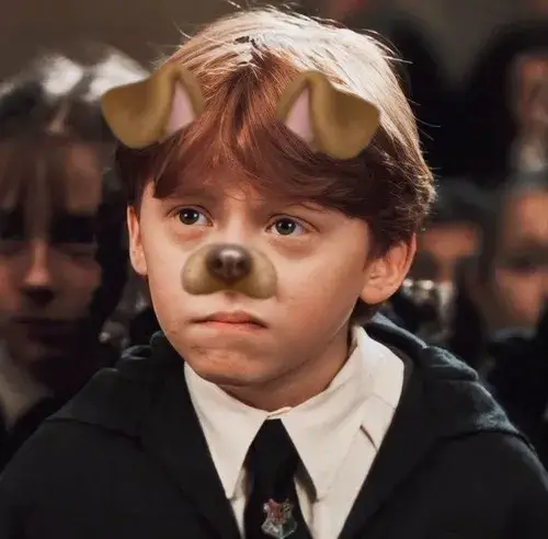 Ảnh troll Ron Weasley đứng ngoài khu rừng cấm run bần bật