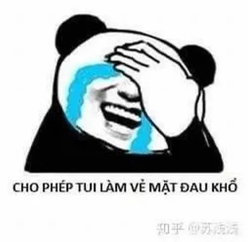 Nhìn meme gấu trúc khóc nhưng cười là thấy ngay cảm giác chịu đựng mềm mỏng