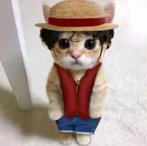 Khoảnh khắc Lù nghiêng người né đòn Robin giữa đường mơ rộng mở đầy nắng.