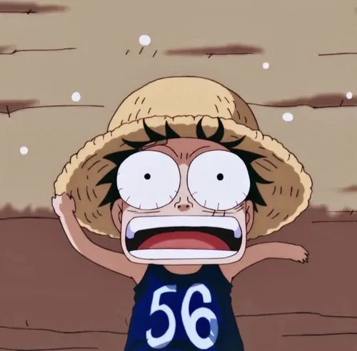 Ảnh meme vui Joy Boy nhảy nhịp cao su bật nảy khi nghe Robin kể chuyện.