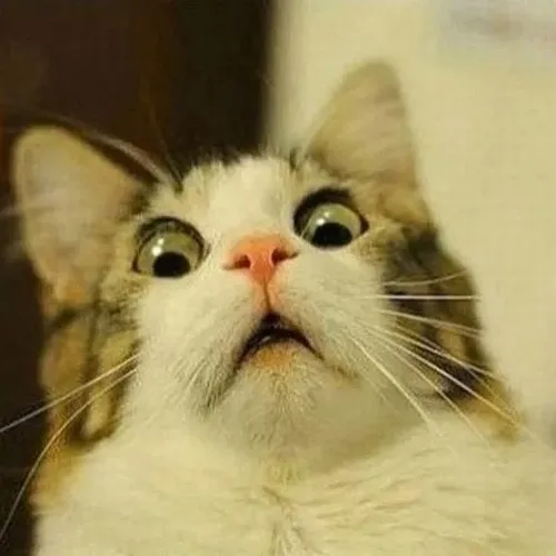 Meme biểu cảm ngạc nhiên mở tròn mắt rõ nét