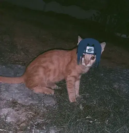 Ảnh chế thiên tài Uchiha nhìn Mangekyo phản chiếu bi kịch nghĩa vụ đầy day dứt