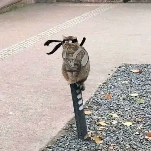 Hình meme hài Itachi nghịch nhẹ Hỏa độn làm Obito giật mình né vội