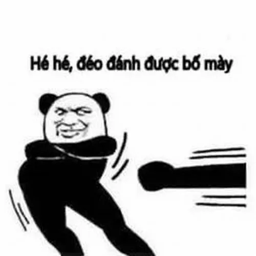 Ảnh meme vui gấu trúc pha trò dáng nghiêng trêu chọc tạo điểm nhấn mỉa mai sâu cay