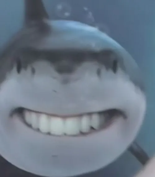 Ảnh troll mãnh thủ kèm ánh mắt lạnh và trồi nhanh.