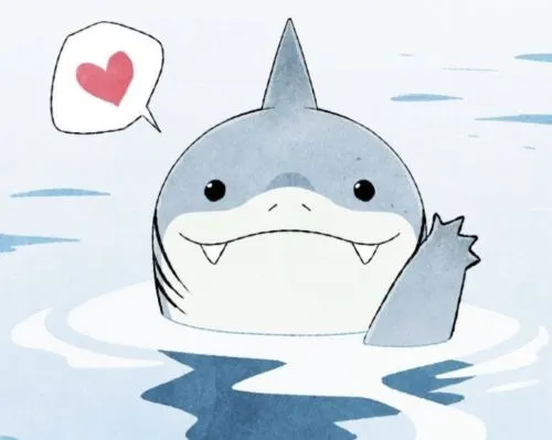 Meme cá mập gợi rạn đá sần giúp khung hình sống động.