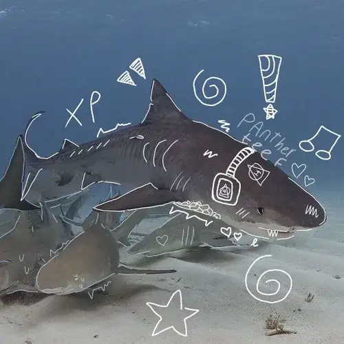 62 ảnh Meme Cá Mập phù hợp khi lúng túng nhưng muốn cố tỏ ra mạnh mẽ