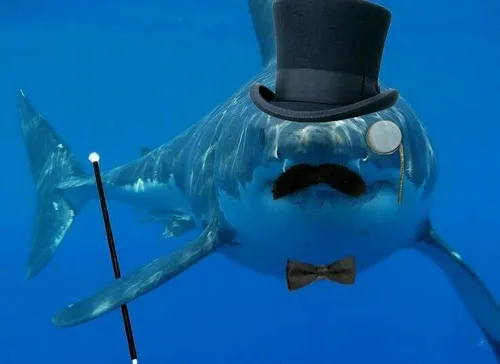 Ảnh troll mãnh thủ gắn hàm trên nghiêng tạo nét dữ.