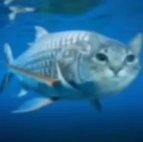 Meme cá bống hé miệng như sắp phản bác điều gì đó.