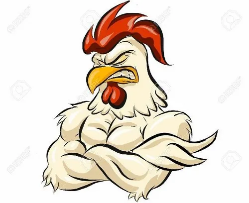 Ảnh hài chú trống minh họa tư thế đầu thấp khi gặp chim cút