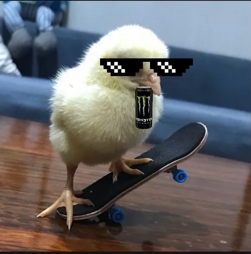 Meme chế con gà gắn với dáng đứng lon ton