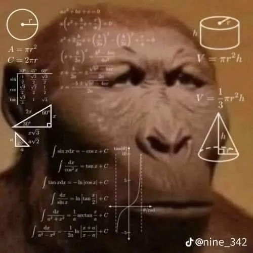 Khoảnh khắc linh trưởng nhỏ hé lộ tai cụp nhẹ giữa câu chuyện.