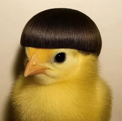 Khoảnh khắc con bé hiếu động tôn lên thái độ tinh nghịch.