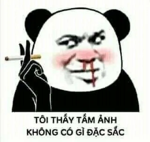180+ Meme Gấu Trúc Weibo (có chữ) vô tri gương mặt ngơ ngác đậm trend Trung Quốc