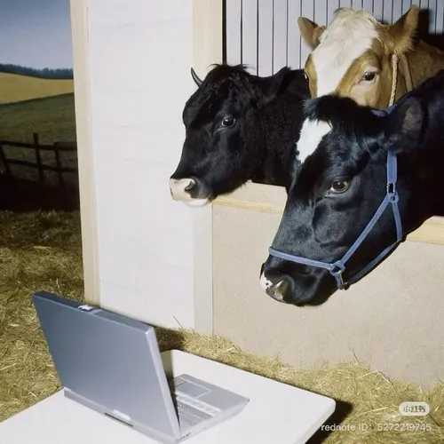 Ảnh meme vui bò đực thò đôi sừng bé qua lá cỏ non.