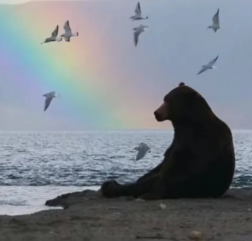 Ảnh troll gấu con thể hiện bàn chân to cùng dáng đứng lúng túng