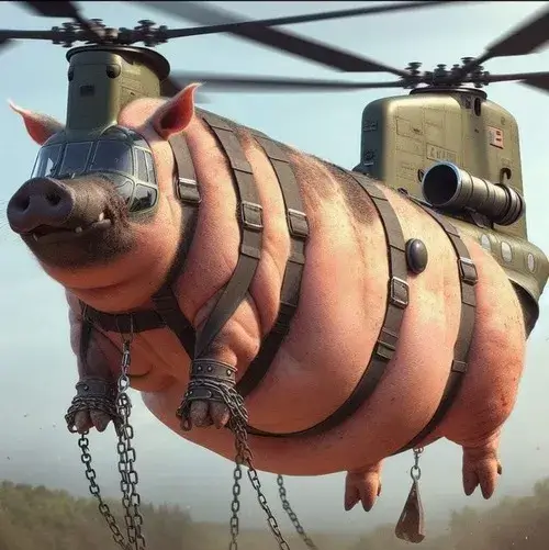 Ảnh chế lợn hồng hờn dỗi, quay đầu né người xem.