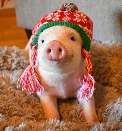 Hình troll bé ủn run sợ, nép sát vệt bùn.