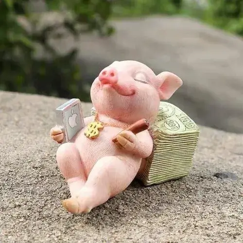 Meme con heo dễ thương để bày tỏ kiểu kệ đời cho nhẹ lòng