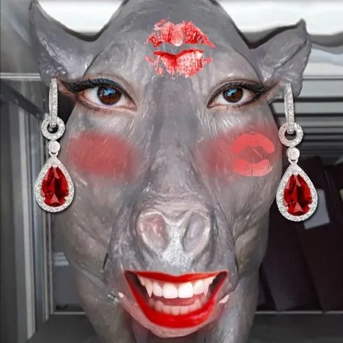 Hình meme hài heo sợ hãi, thu người thành cục tròn.