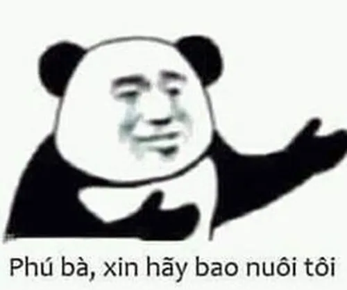 Ảnh meme vui gấu trúc chu mỏ trông rất đáng yêu.