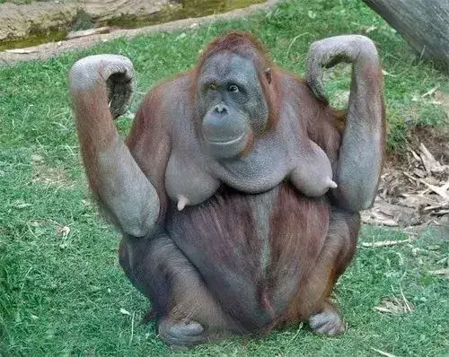 Hình meme bé đáng yêu hợp mood buổi tối buồn ngủ