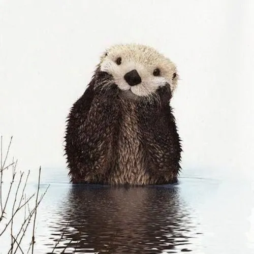 Ảnh chế bé otter dựng cảnh rái cá chăm con bằng dáng ôm sát