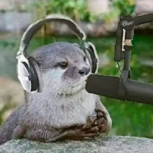 Meme rái cá khơi gợi dáng ngửa biểu tượng cực hút mắt