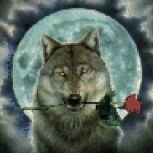 Khi không muốn hòa đàn, meme sói quyền lực bật mood