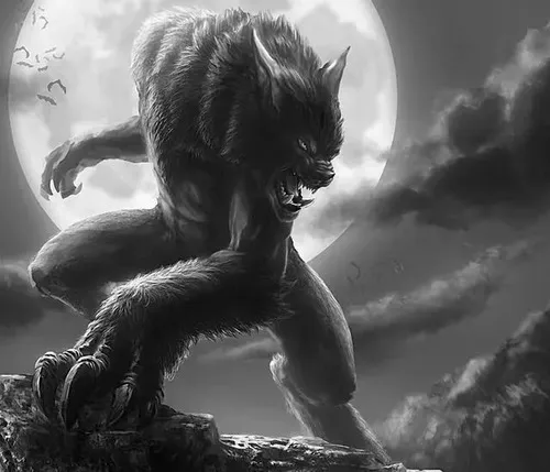 Ảnh vui bóng xám cô tịch tô phong thái chủ lãnh địa trên mỏm đá