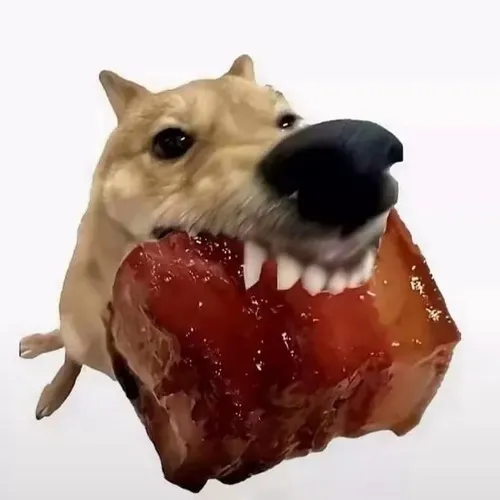 Meme chó cắn thịt vui nhộn thích hợp minh họa lúc ai đó phản ứng quá đà.