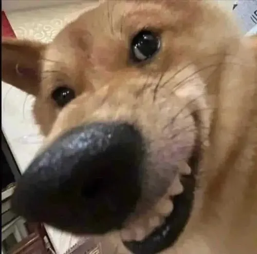 Ảnh hài ánh mắt hờn dỗi kèm mặt quay sang nghiêng thật chán đời