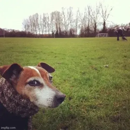 Ảnh chế liếc xéo tạo sắc thái căng hơi bất cần