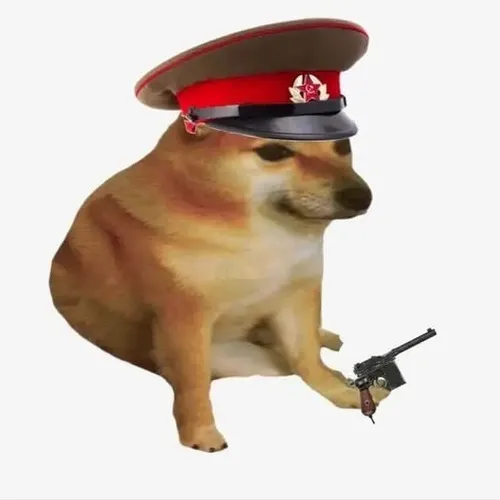 Meme bé Shiba kê súng lên mép ghế gọn gàng