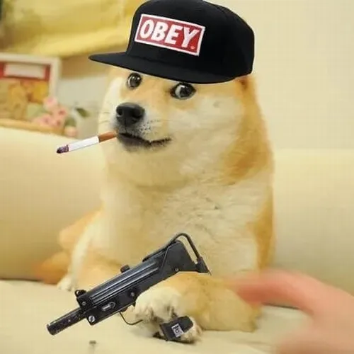 Meme boss Shiba giữ súng bằng hai chân tạo tư thế thủ thế