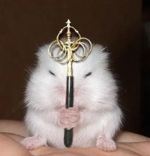 Khoảnh khắc dùng meme chuột cầm thánh giá khi bạn muốn né vía điều kỳ lạ.