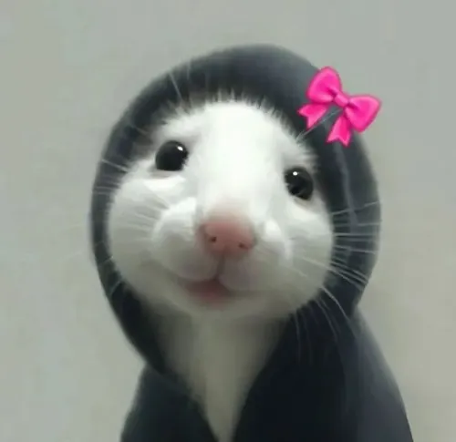 Meme chế chuột dí dỏm chớp mắt tạo biểu lộ châm chọc