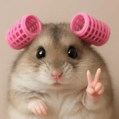 Chuột cười lém lĩnh hỗ trợ mọi tình huống châm chọc nhẹ mà không gây căng