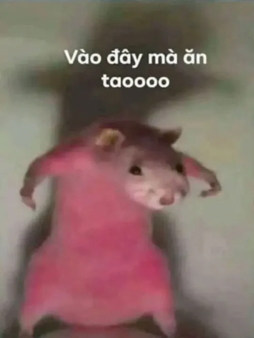 Chuột drama meme: Gương mặt gây chuyện không ai vượt nổi