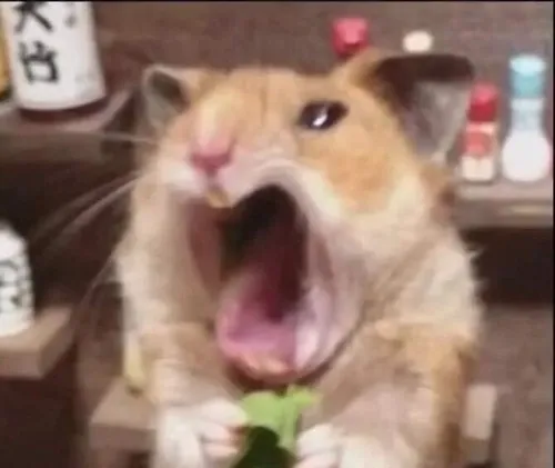 Meme chuột liếc nhẹ bằng ánh mắt láo liên cực bắt trend.