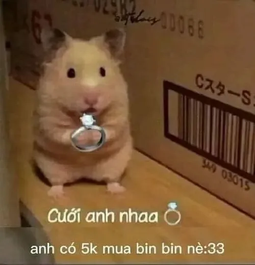 Meme chuột cầm dao đồ chơi tạo cảm giác vừa sợ vừa buồn cười.