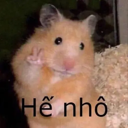 Ảnh chuột hài hước tạo tư thế lạch bạch cực duyên.