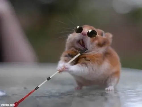 Meme chuột nghịch ngợm: Loạt pose “tấu hài không kiểm soát”