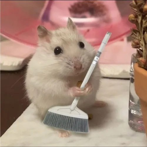 Ảnh chuột hôn không khí tạo khoảnh khắc ngọt ngào dí dỏm.