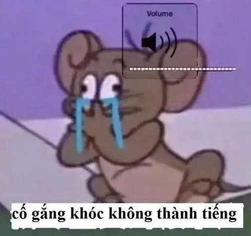 Phản ứng bất lực thường được dân mạng biến thành meme Jerry khóc rất duyên