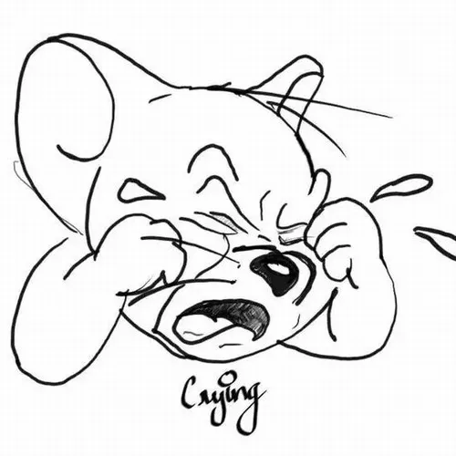 Ai muốn diễn cảm giác tủi thân nhẹ nhàng thì tìm ngay meme Jerry khóc