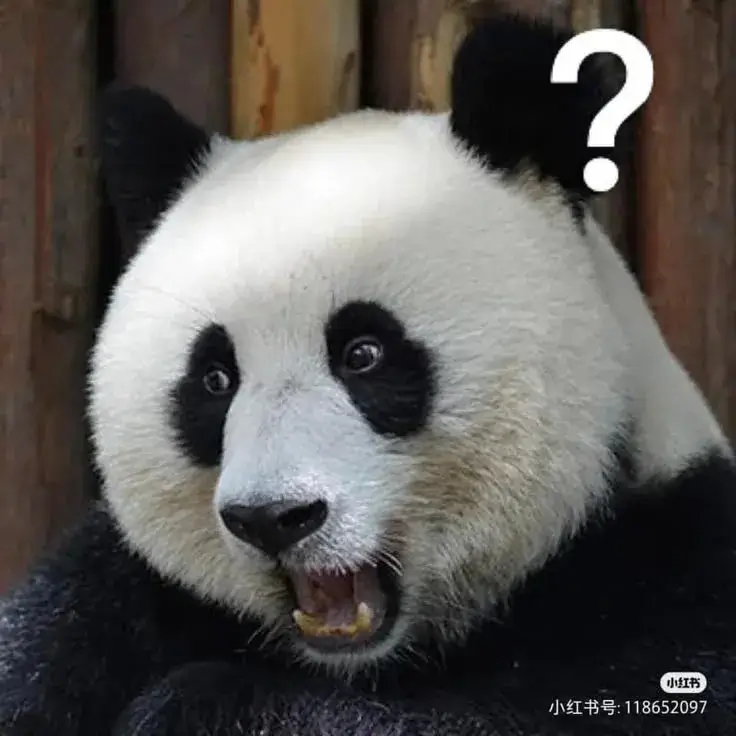 Hình meme hài gấu chó nhắc thân hình đồ sộ tạo nét lạ